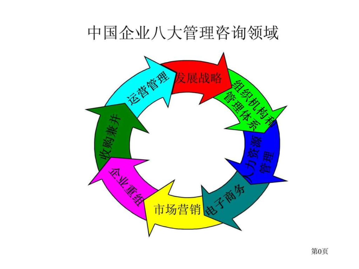 罗兰贝格 中国企业管理咨询提要